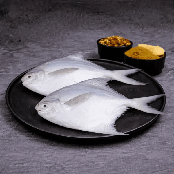 White Pomfret Fish / Silver Pomfret Fish Small (500g)